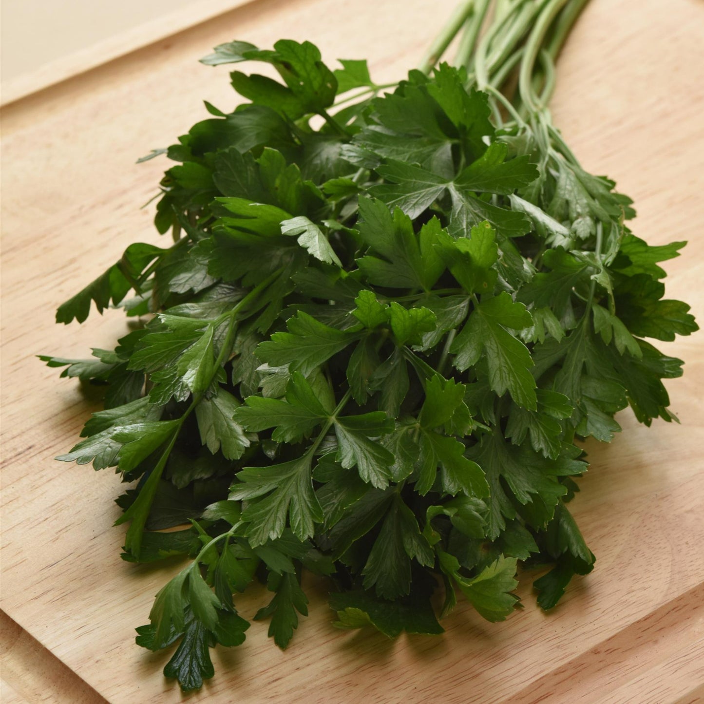 Parsley